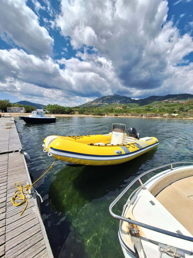 Italboats Predator  jednotlivci a charterové společnosti v Olbia