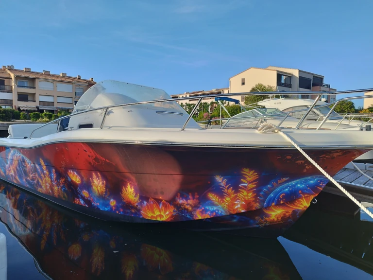 Pronajmout si White Shark White Shark 248 v Saint-Cyprien