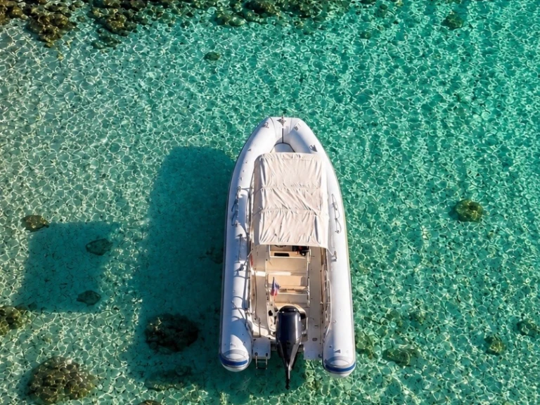 Pronájem Polotuhá loď Joker Boat s licencí