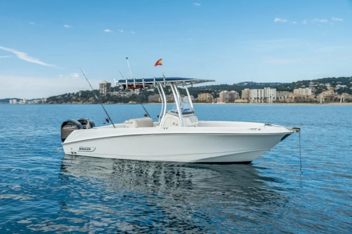 Boston Whaler Boston Whaler 220 Outrage jednotlivci a charterové společnosti v Marina de Palamós