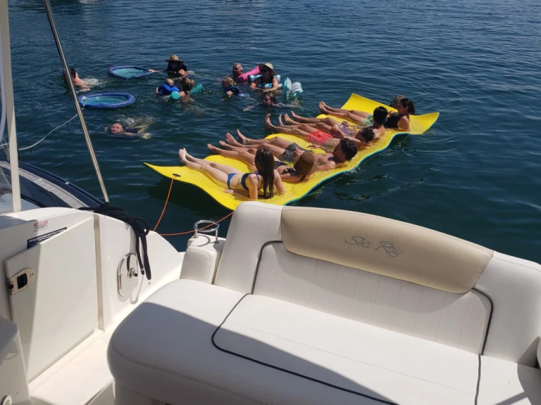 Pronájem Motorová loď v Miami -Sea Ray Sea Ray 300 Sundancer