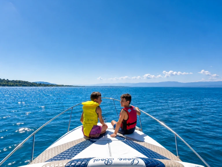 Pronajmout si Bayliner Bayliner 255 v Thonon-les-Bains