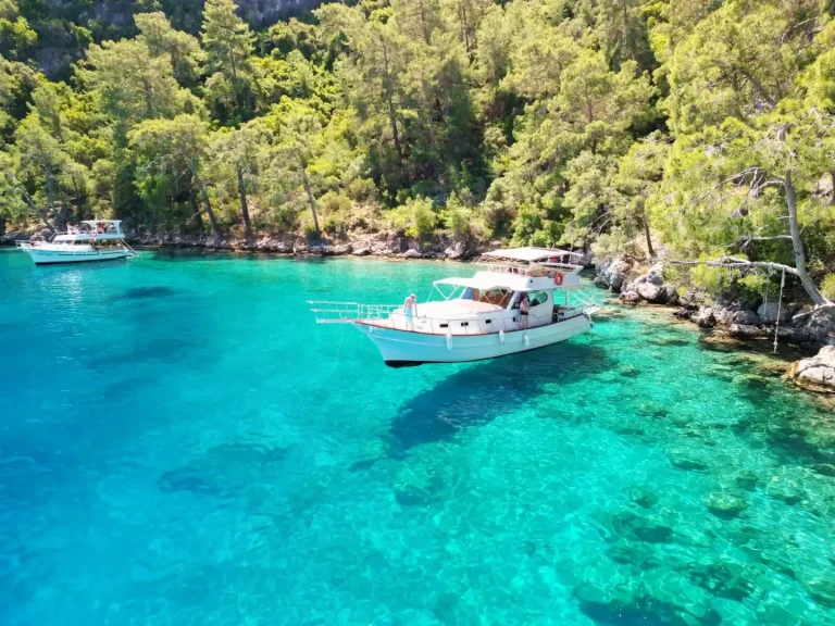 Pronajmout Plachetnice se skipperem či ne Custom v Göcek 