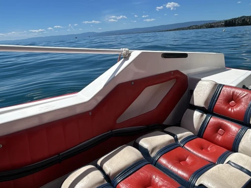 Ocqueteau Boxer 44 jednotlivci a charterové společnosti v Lutry
