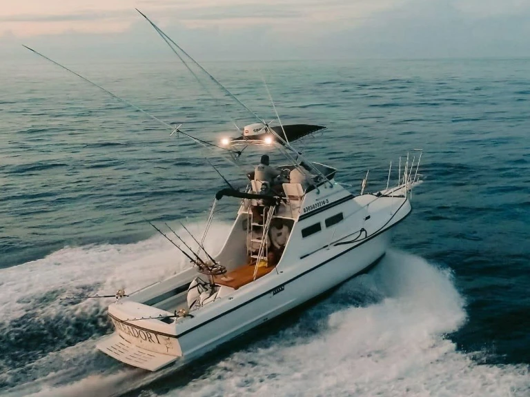Custom Made custom jednotlivci a charterové společnosti v Cabo San Lucas