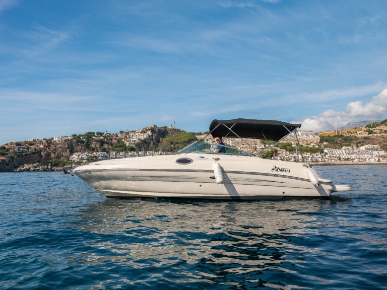 Pronajmout Motorová loď se skipperem či ne Sea Ray v La Herradura
