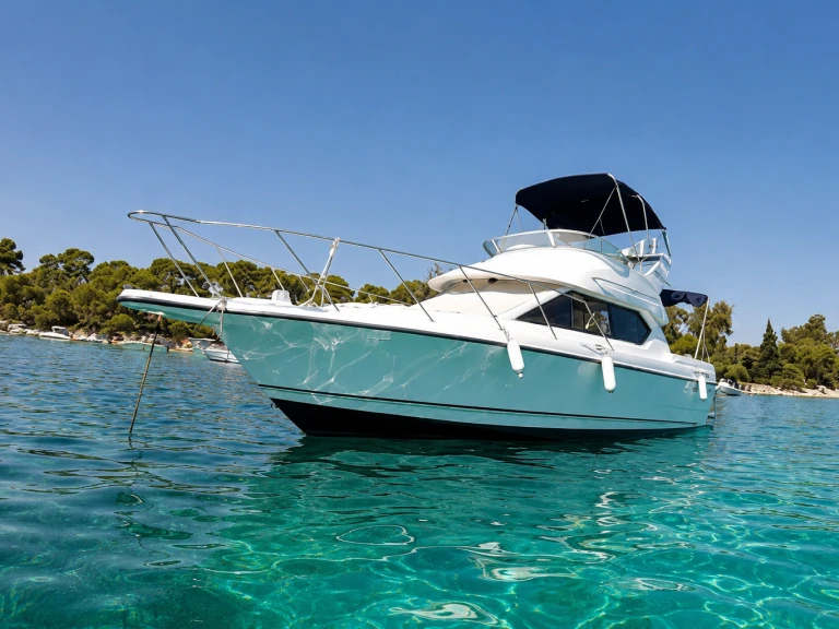 Bayliner Bayliner 2858 Fly jednotlivci a charterové společnosti v Mandelieu-la-Napoule