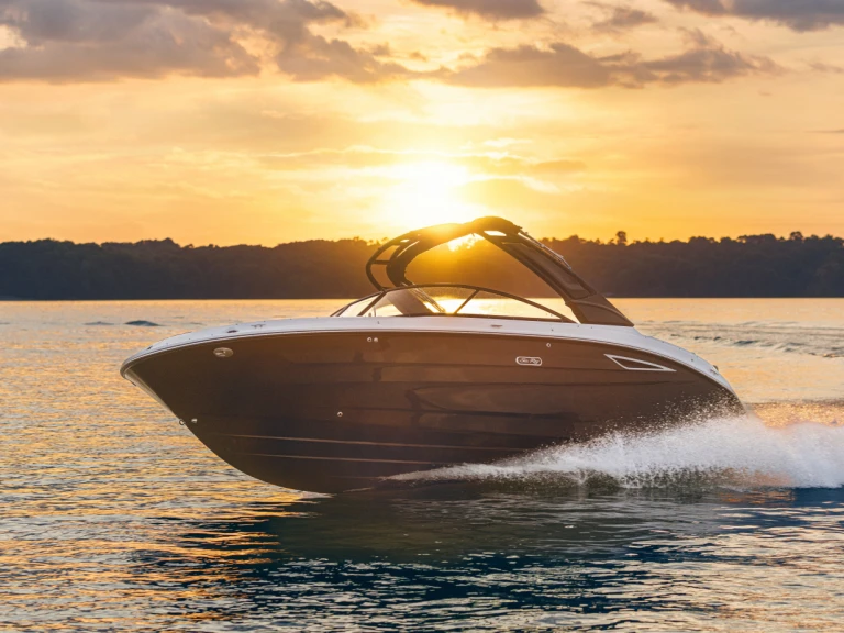 Pronájem Motorová loď Sea Ray s licencí