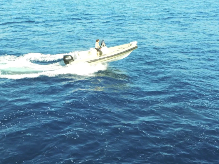 Pronájem Polotuhá loď Joker Boat s licencí