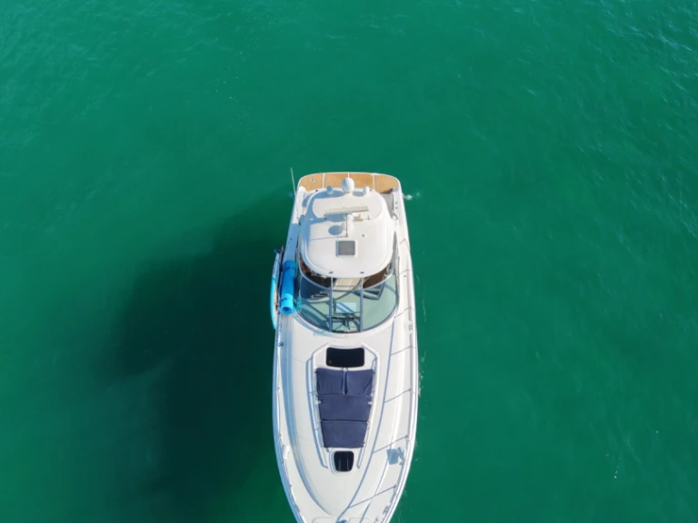 Sea Ray Sea Ray 455 Sundancer jednotlivci a charterové společnosti v Cabo San Lucas
