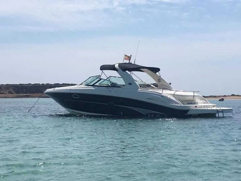 Pronájem Motorová loď v Puerto Portals -Sea Ray Sea Ray 290 SLX