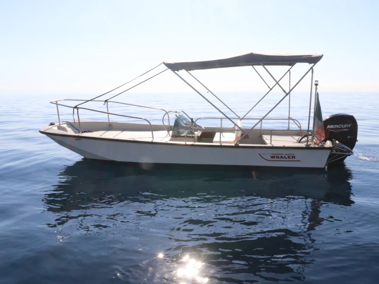 Pronájem lodi Boston Whaler Boston Whaler 17 v Riposto na Samboatu