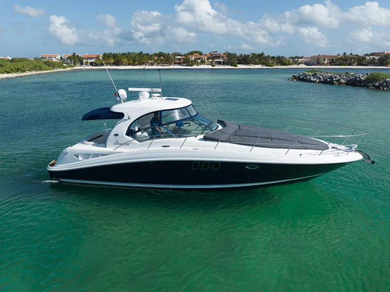 Pronajmout si Custom Made custom v Puerto Aventuras