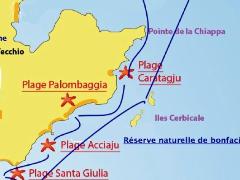 Pronajmout si Motonautica-Vesuviana MV 700 v Porto-Vecchio