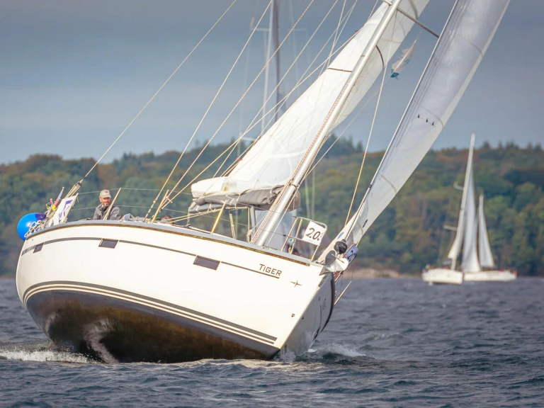 Pronájem lodi Bavaria Cruiser 37 v Flensburg na Samboatu
